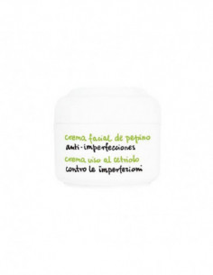 Pepino crema facial 50 ml 2